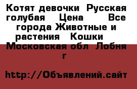 Котят девочки “Русская голубая“ › Цена ­ 0 - Все города Животные и растения » Кошки   . Московская обл.,Лобня г.